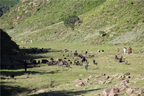 养山猪必备神器——太阳能GPS定位系统